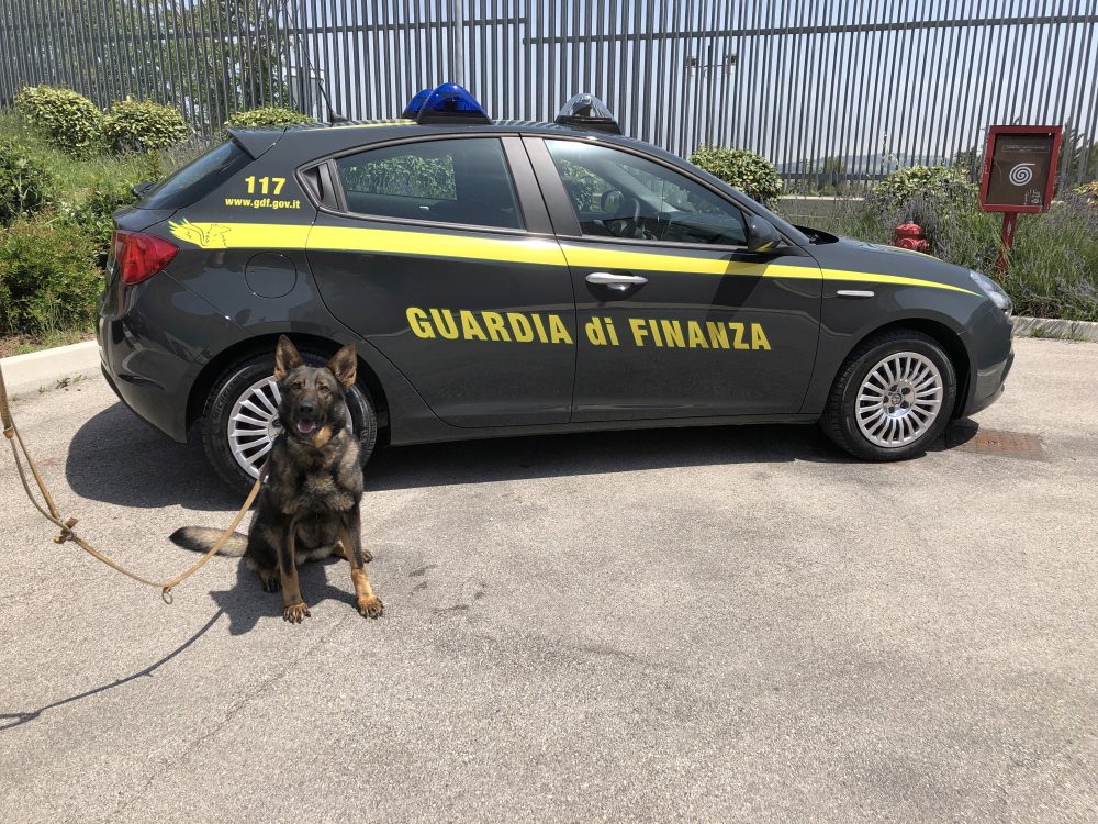 GdF: Continua l’attività di prevenzione del traffico di stupefacenti.