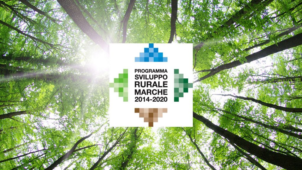 PSR Marche, altri 10 milioni per aziende agricole colpite dal sisma 2016