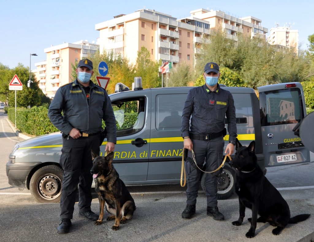 I cani finanzieri di Fermo scovano droghe per 120 mila euro