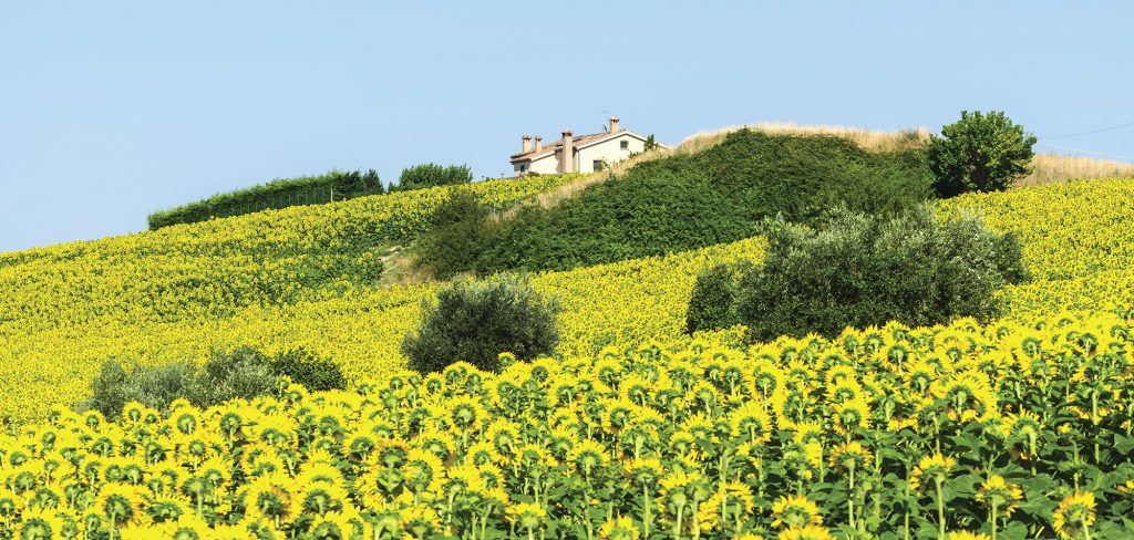 Biodistretto Unico delle Marche: già 571 adesioni