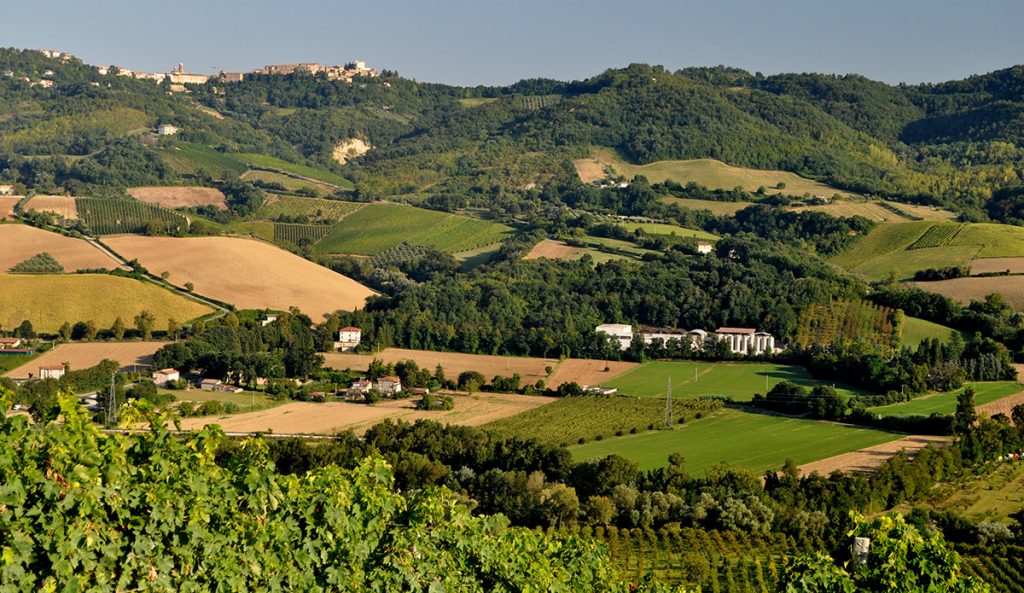 La Voce Altra, rotocalco settimanale