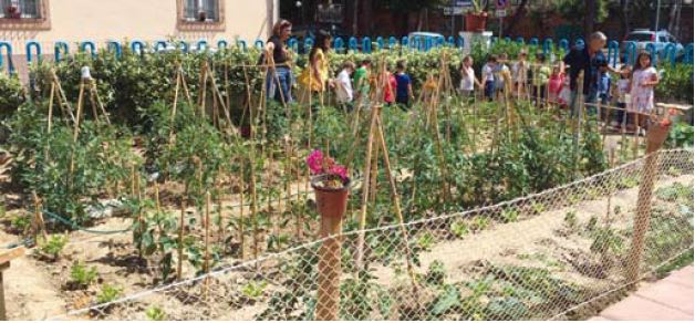 Grottammare: “Orti di mare”, a bando 4 lotti nel cuore della città