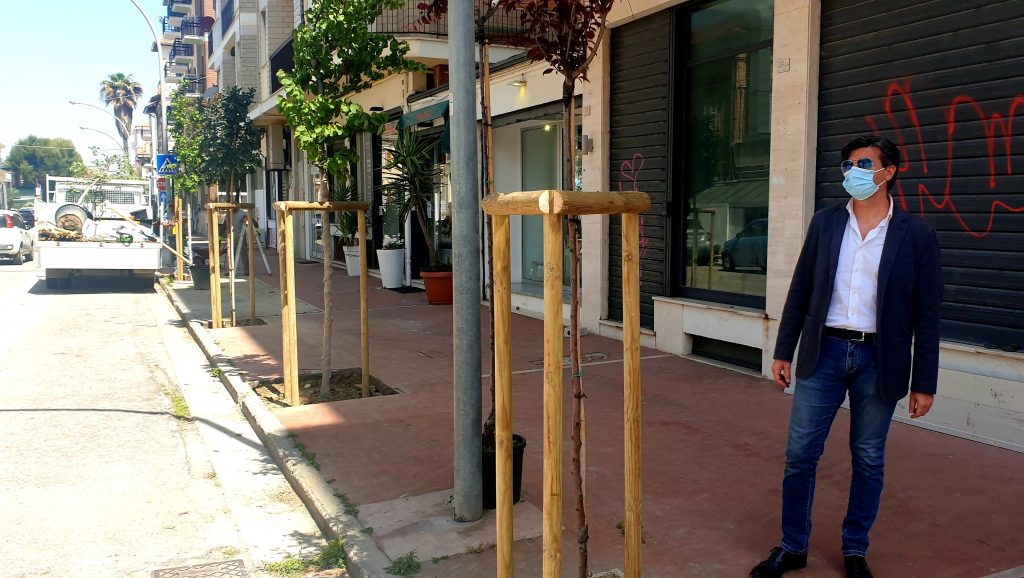 Porto San Giorgio: Interventi di piantumazione di essenze arboree