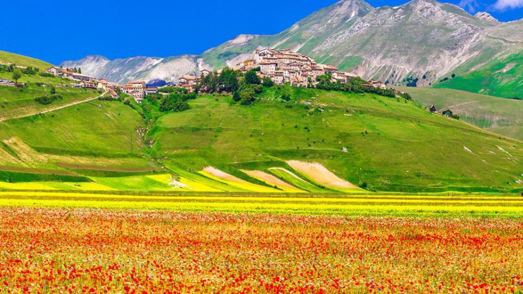 Castelluccio di Norcia, Aguzzi: “soluzione condivisa per accessi alla fioritura”