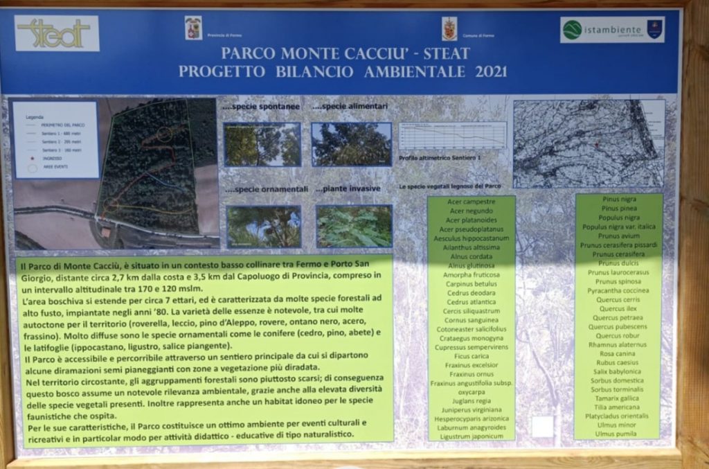 Steat, a Monte Cacciù il bosco ritrovato