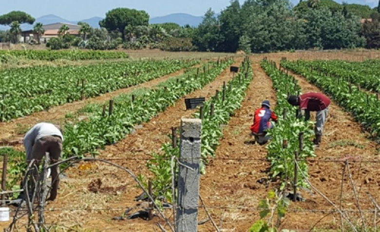 Ascoli Piceno: Bando pubblico per interventi contro povertà e inclusione  attiva