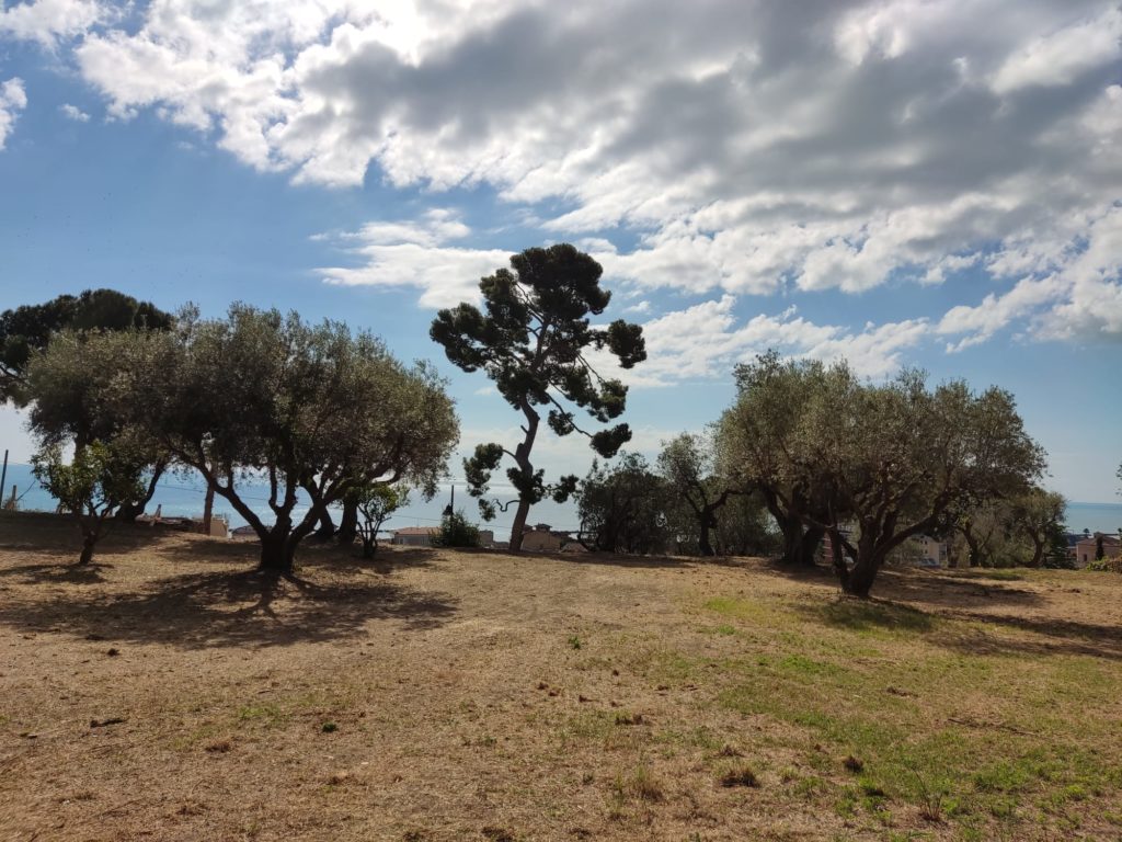Arena Sisto V, Grottammare apre il parco tutto l’anno. 20 luglio l’omaggio a Guccini
