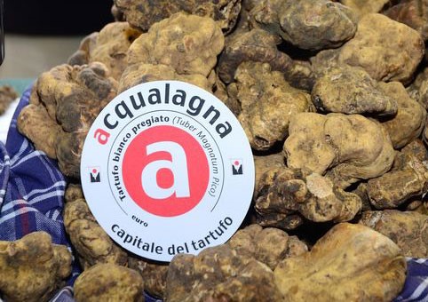 Acqualagna: domenica 23 ottobre parte la 57^ Fiera Nazionale del Tartufo Bianco