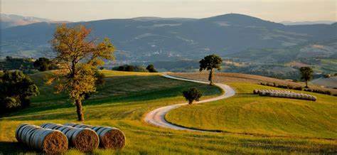Futuro Turismo torna al Teatro dell’Aquila il 22 ottobre