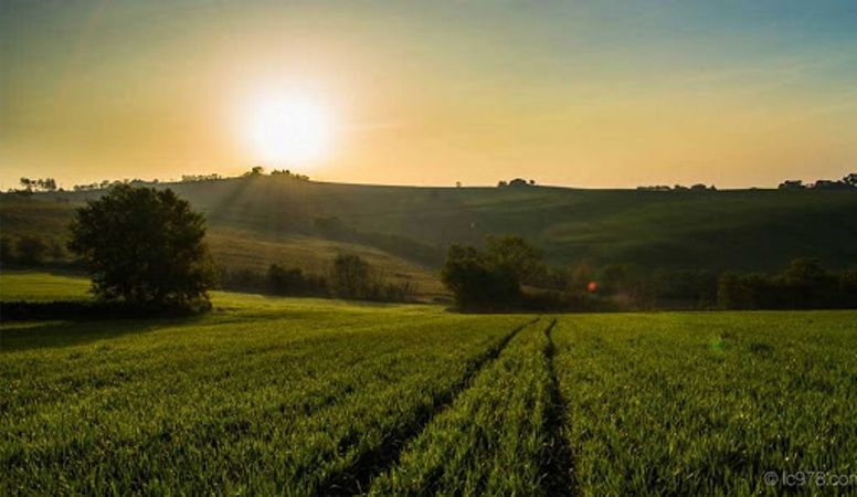 “Gestione dei cedui di castagno”: convegno Confagricoltura il 25 gennaio in Ascoli