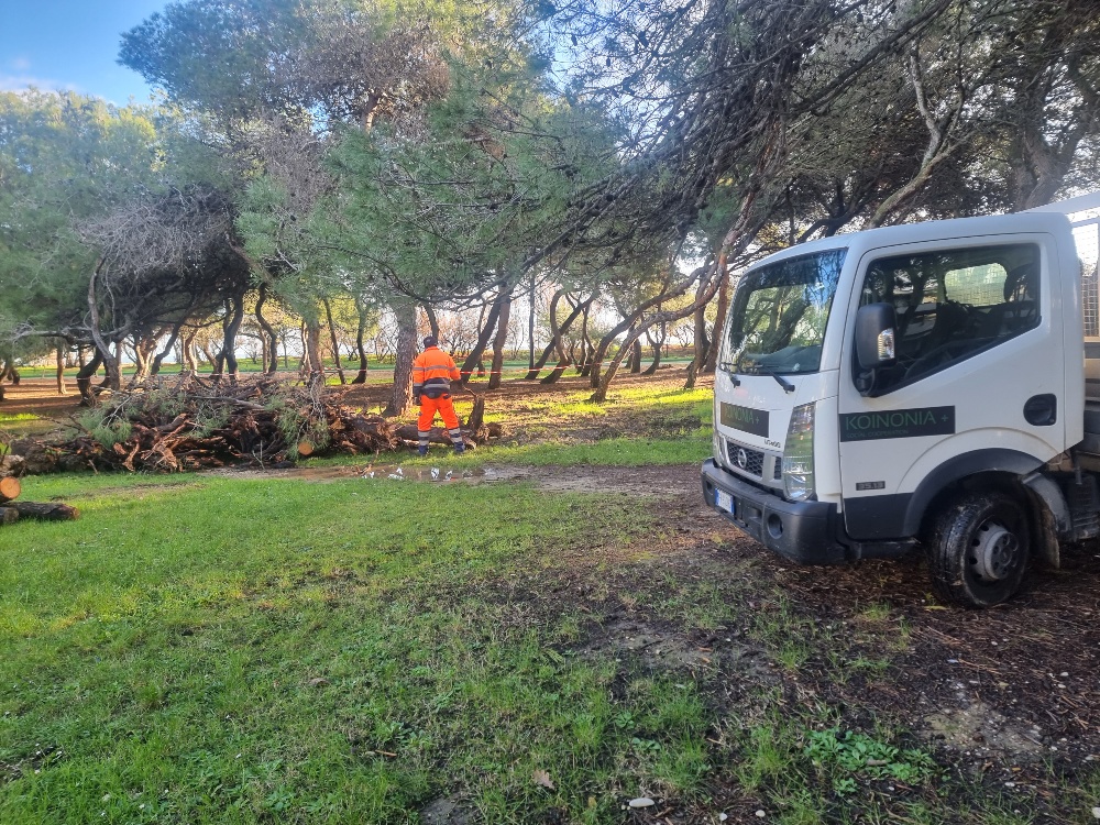 Iniziati i lavori di potatura della pineta nord di Porto Sant’Elpidio