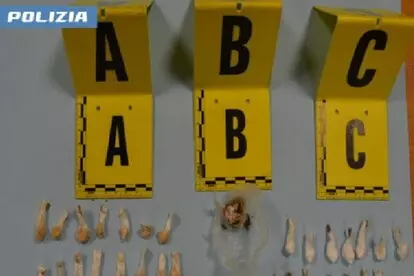 Dosi di cocaina in un giardino a Fermo, la scoperta grazie all’app YouPol