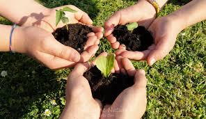 L’UNESCO promuove la “Settimana per la sostenibilità ambientale” a Fermo