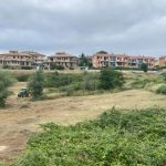 Porto San Giorgio avrà il suo bosco urbano nel rione sud Santa Vittoria. Approvato progetto di fattibilità per 170 mila euro