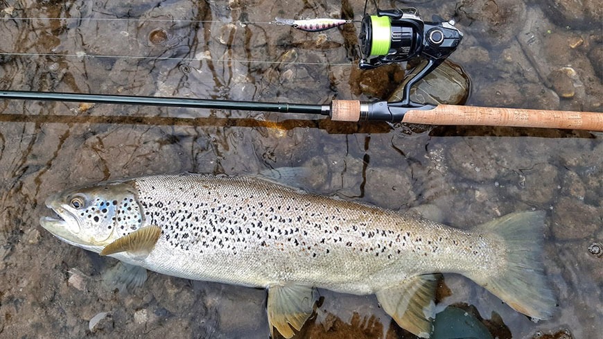 Al via la stagione della pesca della trota nelle Marche