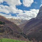 8 coppie di aquile reali censite nel Parco dei Sibillini