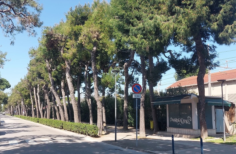 Maxi piano del verde con 1300 potature per la sicurezza e decoro di Porto San Giorgio