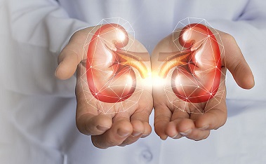 Ast Fermo invita alla donazione degli organi consapevole