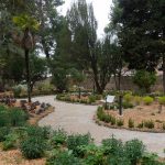 Yoga, ceramica e poesia fra gli Appuntamenti in Giardino di Villa Vitali