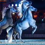 Salto ostacoli e purosangue arabi chiudono il 1° "Riding" sulla spiaggia di Porto Sant'Elpidio