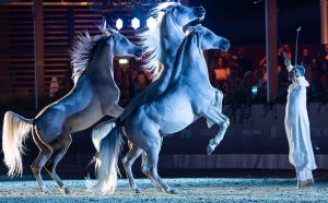 Fieracavalli Riding By The Sea_Horses on the night Sea