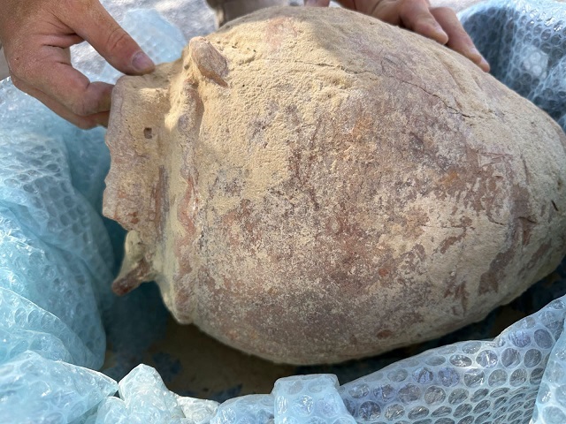 Tomba picena riaffiora dopo le piogge al cimitero di Sant’Elpidio